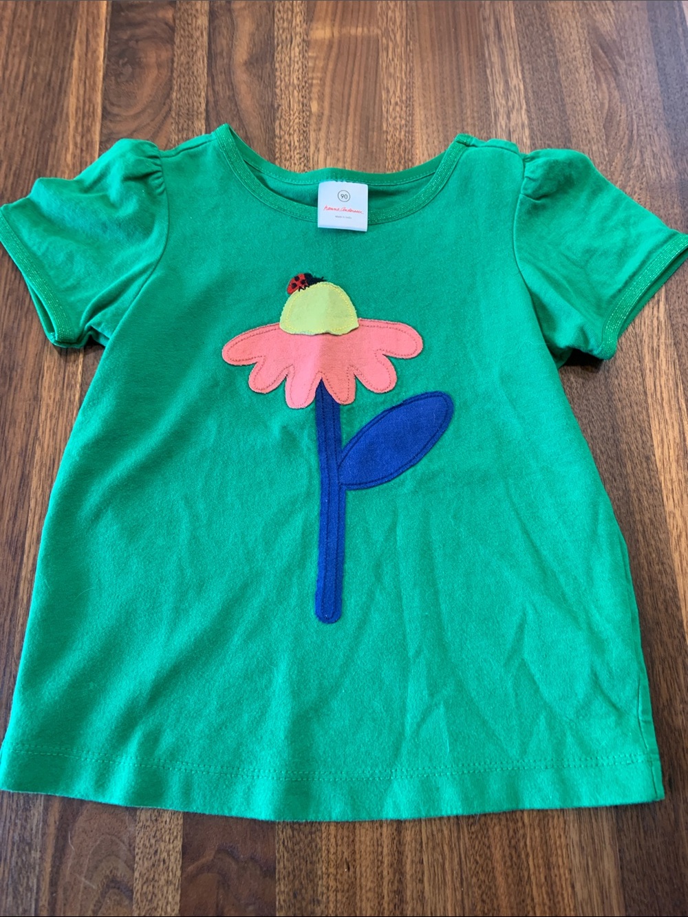 Hanna Andersson Girls 4T Lady Bug Flower Green Tee - Like New